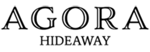 Agora, a Juvira Digital client